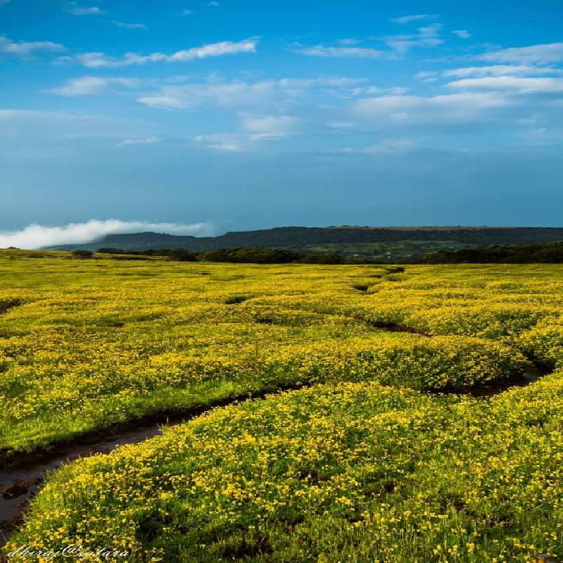 Gallery Royal Valley Resorts, Satara